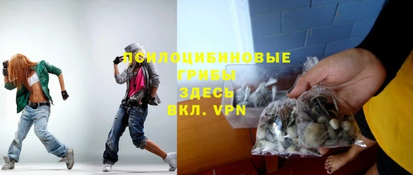 бошки Бородино
