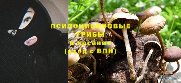 шишки Богородицк