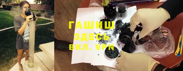 шишки Богородицк