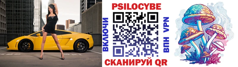 продажа наркотиков Озёрск Псилоцибиновые грибы Psilocybe